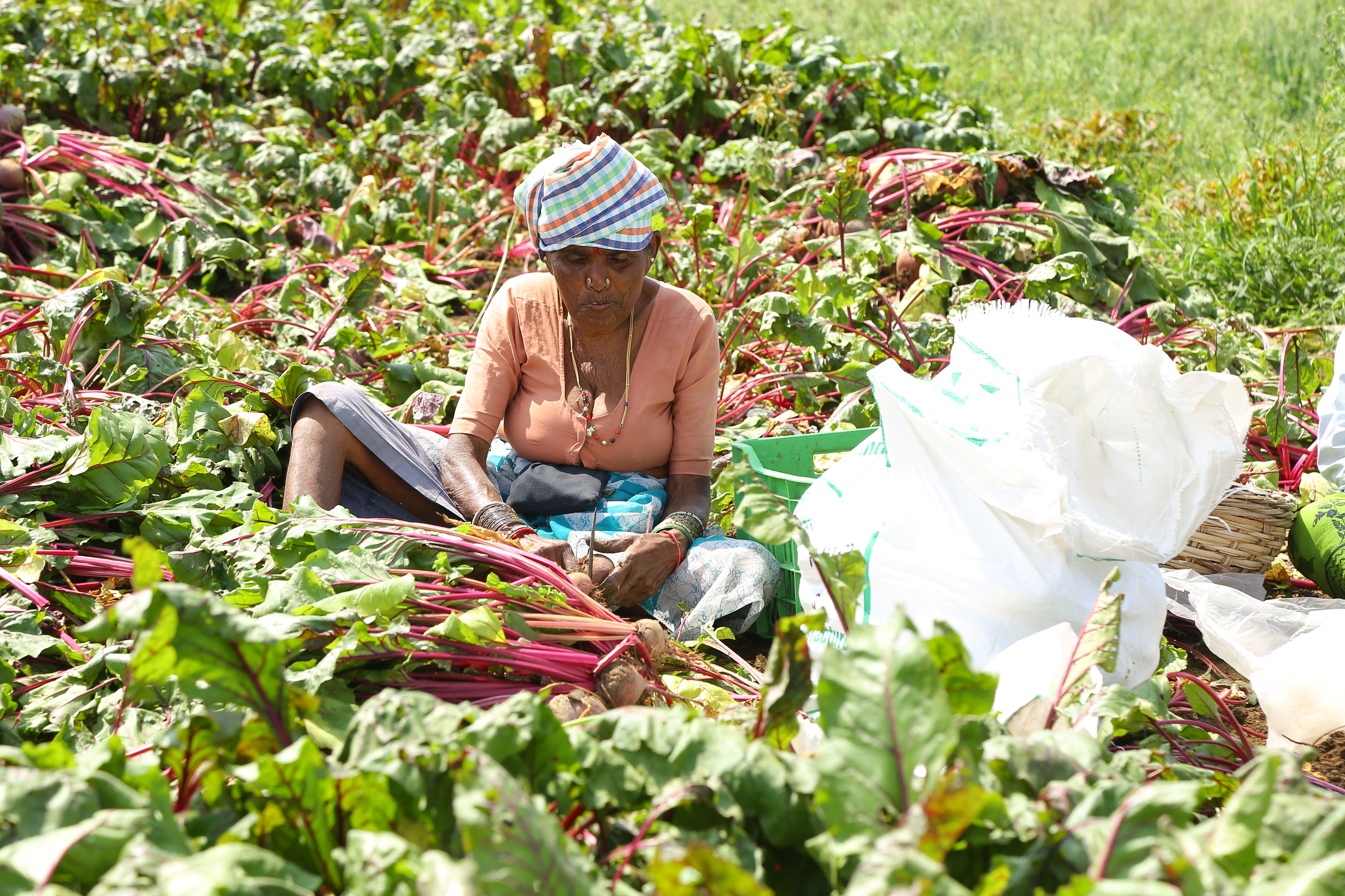 Farm preparation
