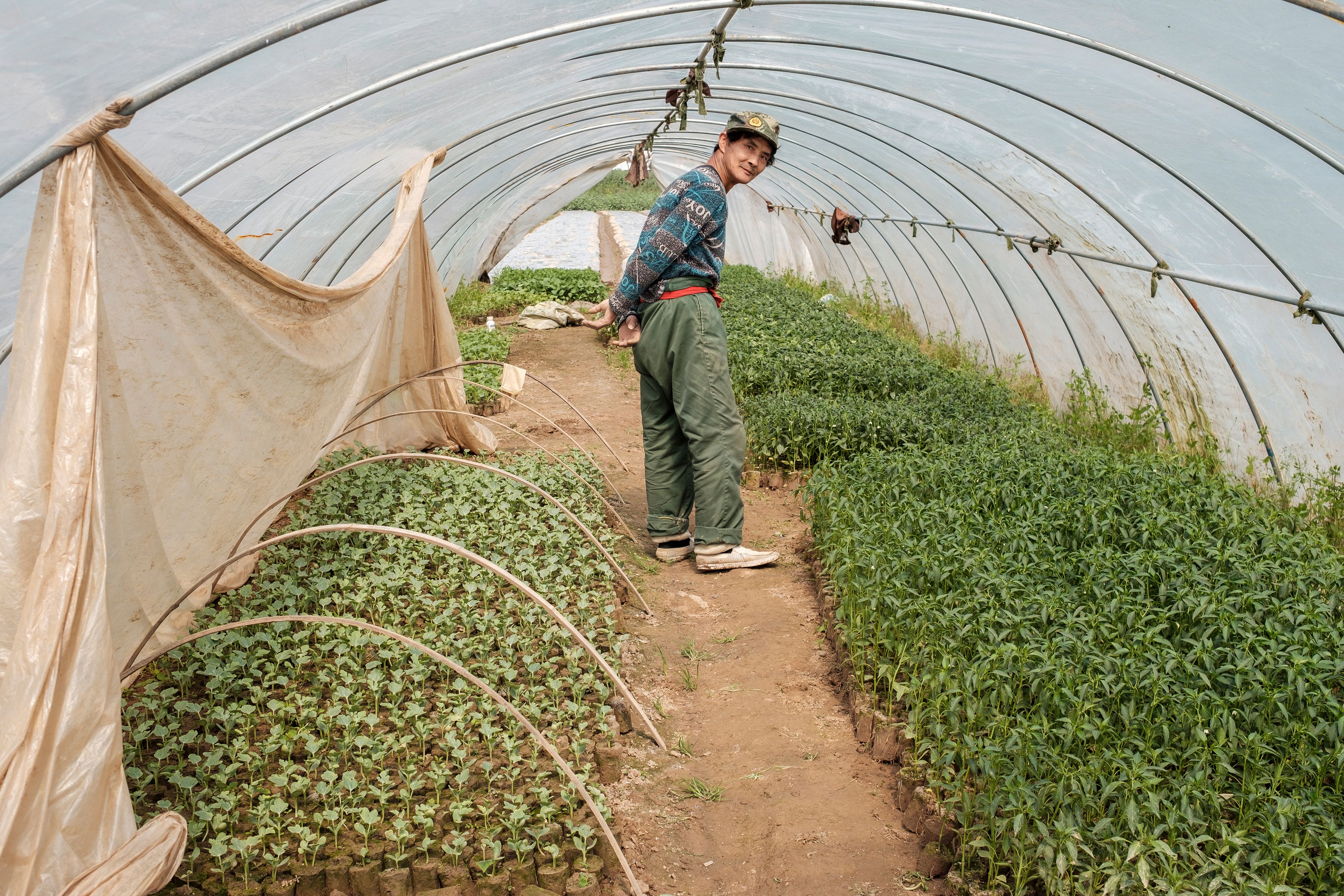 Harvest planning